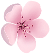 梅花
