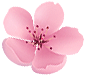 梅花